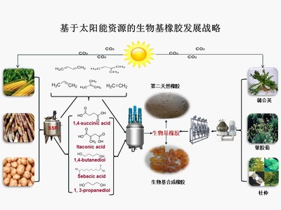&ldquo;十三五&rdquo;國家重點研發(fā)計劃項目&ldquo;新型生物基橡膠材料制備技術(shù)與應(yīng)用示范&rdquo;順利通過項目綜合績效評價