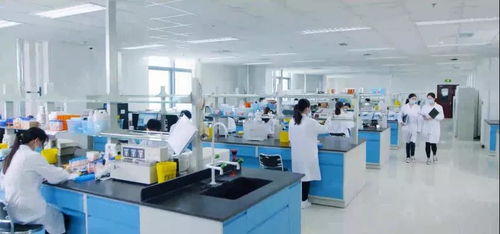 350余家企業(yè)獲補(bǔ)貼約10億元 點(diǎn)贊北京經(jīng)開(kāi)區(qū)這波惠企政策紅利