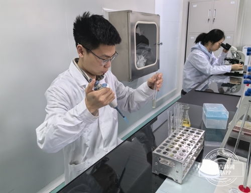 加快發(fā)展新質(zhì)生產(chǎn)力 吉林一線觀察 之新動能 新產(chǎn)業(yè) 吉原生物公司 創(chuàng)新升級 水凝膠材料的領跑者