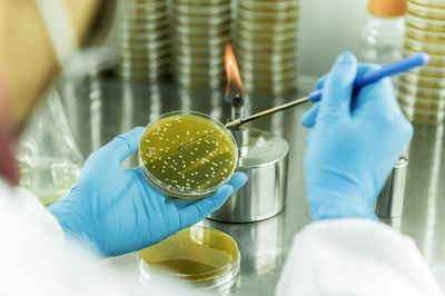 戰(zhàn)新產(chǎn)業(yè)&ldquo;百大工程&rdquo;|招商局集團領航生物基聚酰胺創(chuàng)新突破 打造生物經(jīng)濟新引擎