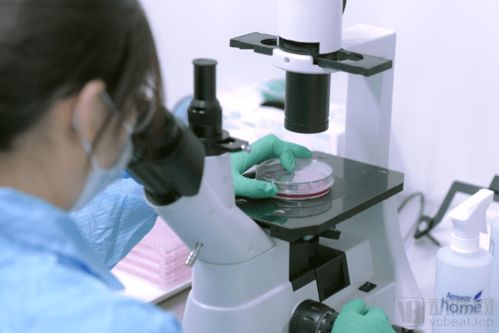 打造產(chǎn)業(yè)鏈 惠邦生物以獨創(chuàng)能力加碼IVD創(chuàng)新產(chǎn)品研發(fā)，持續(xù)發(fā)力原料市場與生物基材料技術(shù)研發(fā)