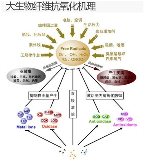 大生物纖維 點(diǎn)燃中國(guó)紡織業(yè)變革與山東新舊動(dòng)能轉(zhuǎn)換的燎原之火